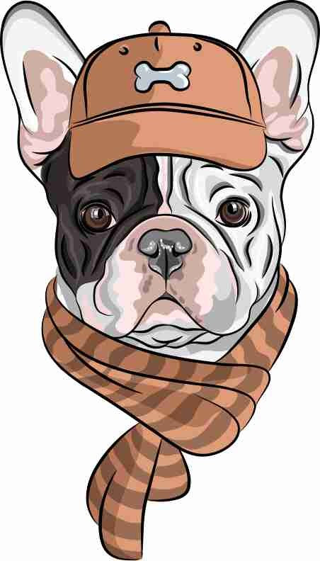 MAGLIETTA 100% COTONE BIMBO/A TITOLO DOG