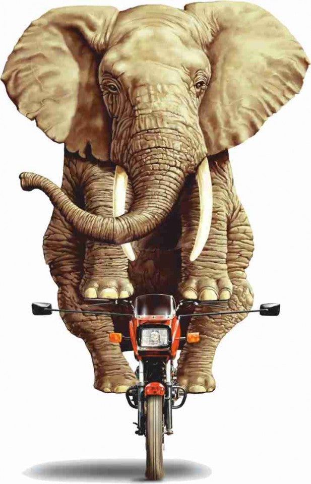 MAGLIETTA 100% COTONE BIMBO/A TITOLO ELEFANTE