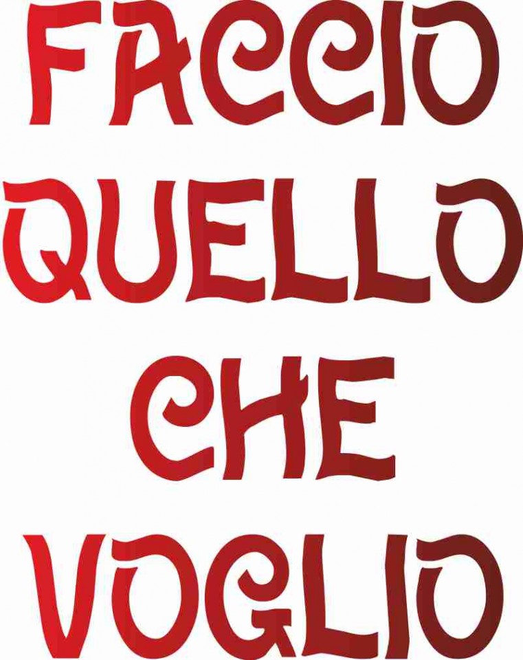 MAGLIETTA 100% COTONE BIMBO/A TITOLO FACCIO QUELLO CHE VOGLIO