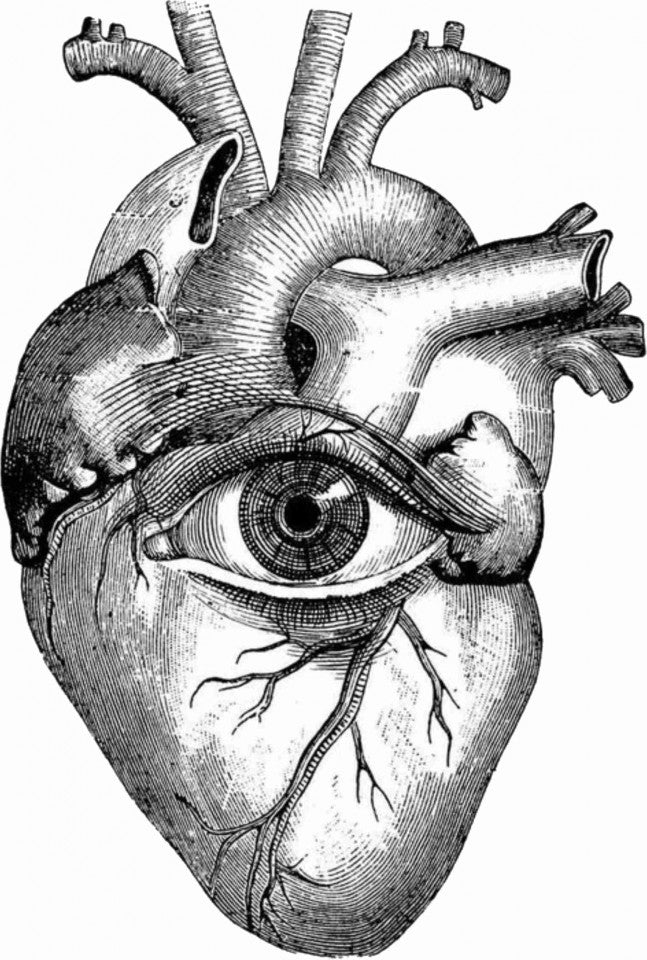 MAGLIETTE FIAMMATE MADE IN ITALY